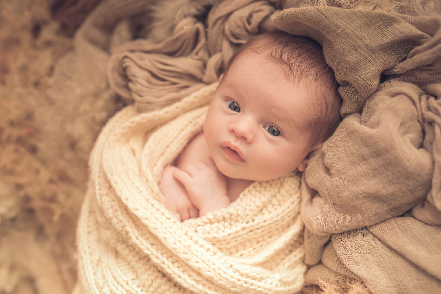 Sitting Pretty Photography Portfolio Newborn 5