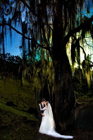 Spanish moss hangs from trees creating a mystical backdrop for a wedding photo.
