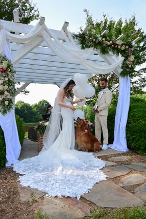 Outdoor wedding ceremony under a white pergola with floral decorations and a dog participating.