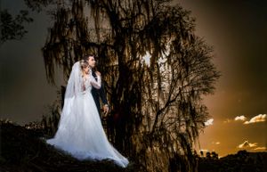 A wedding photo silhouetted against a dramatic sunset with Spanish moss hanging from trees.