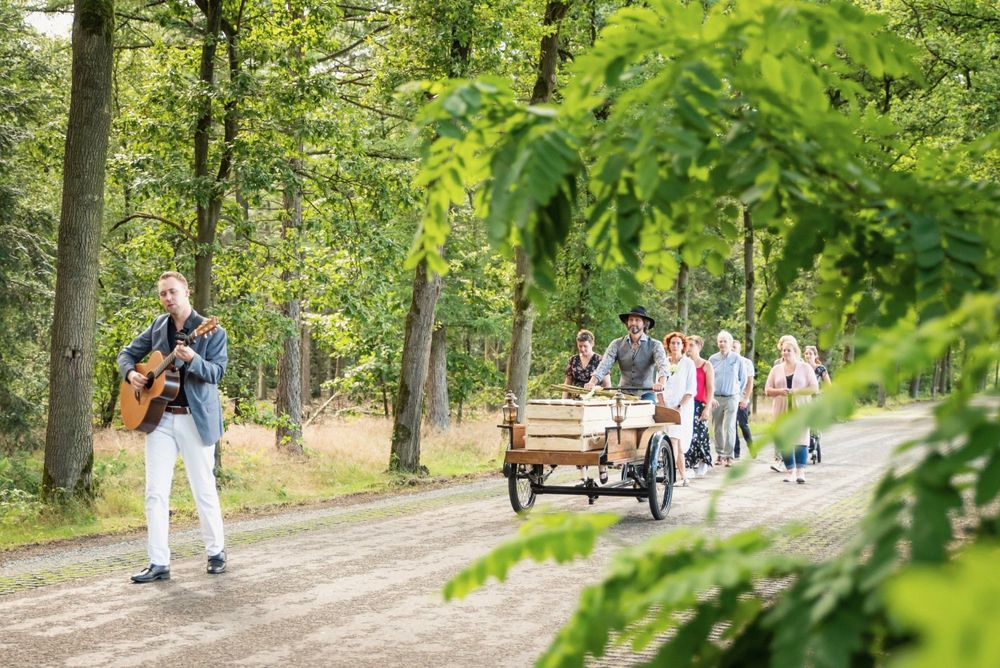 People enjoying recreational activities on tree-lined path in lush green park.
