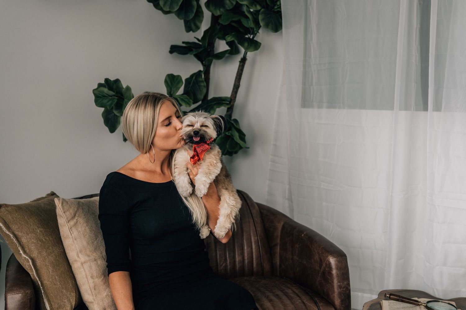 Cincinnati Dog Photographer Pet Photography near me Dayton Morkie