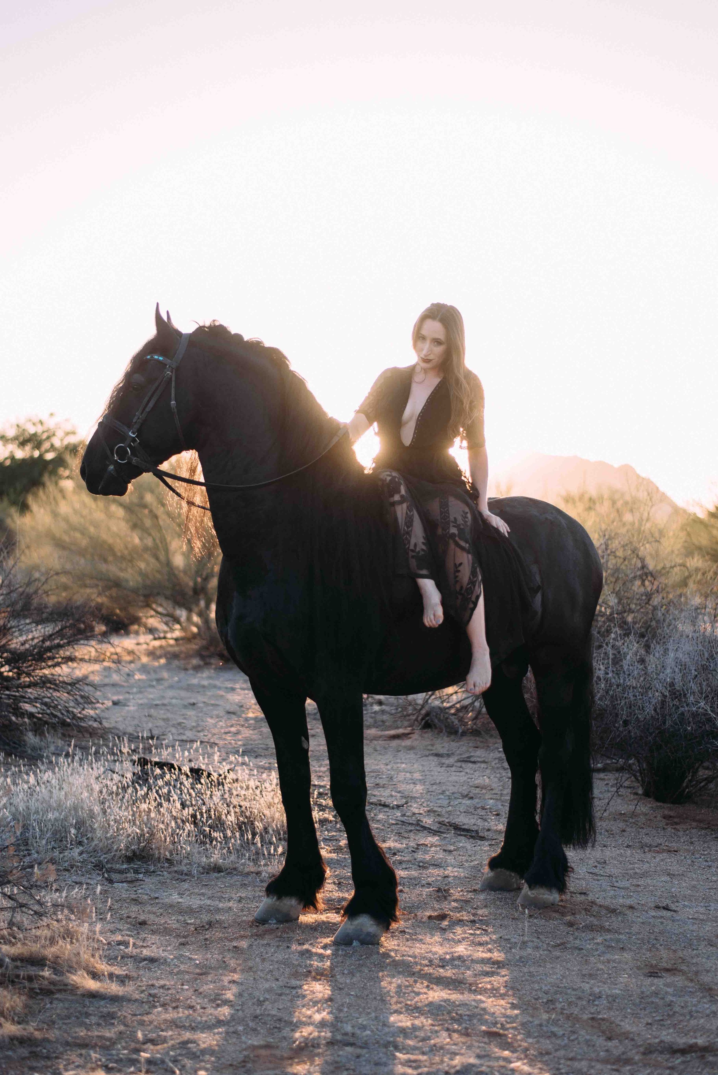 Person riding black horse in desert landscape during golden hour.