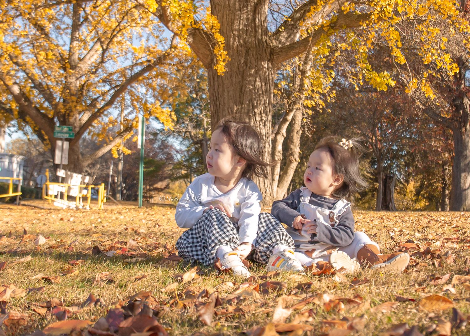 Two children sit together among fallen leaves under vibrant yellow autumn trees.