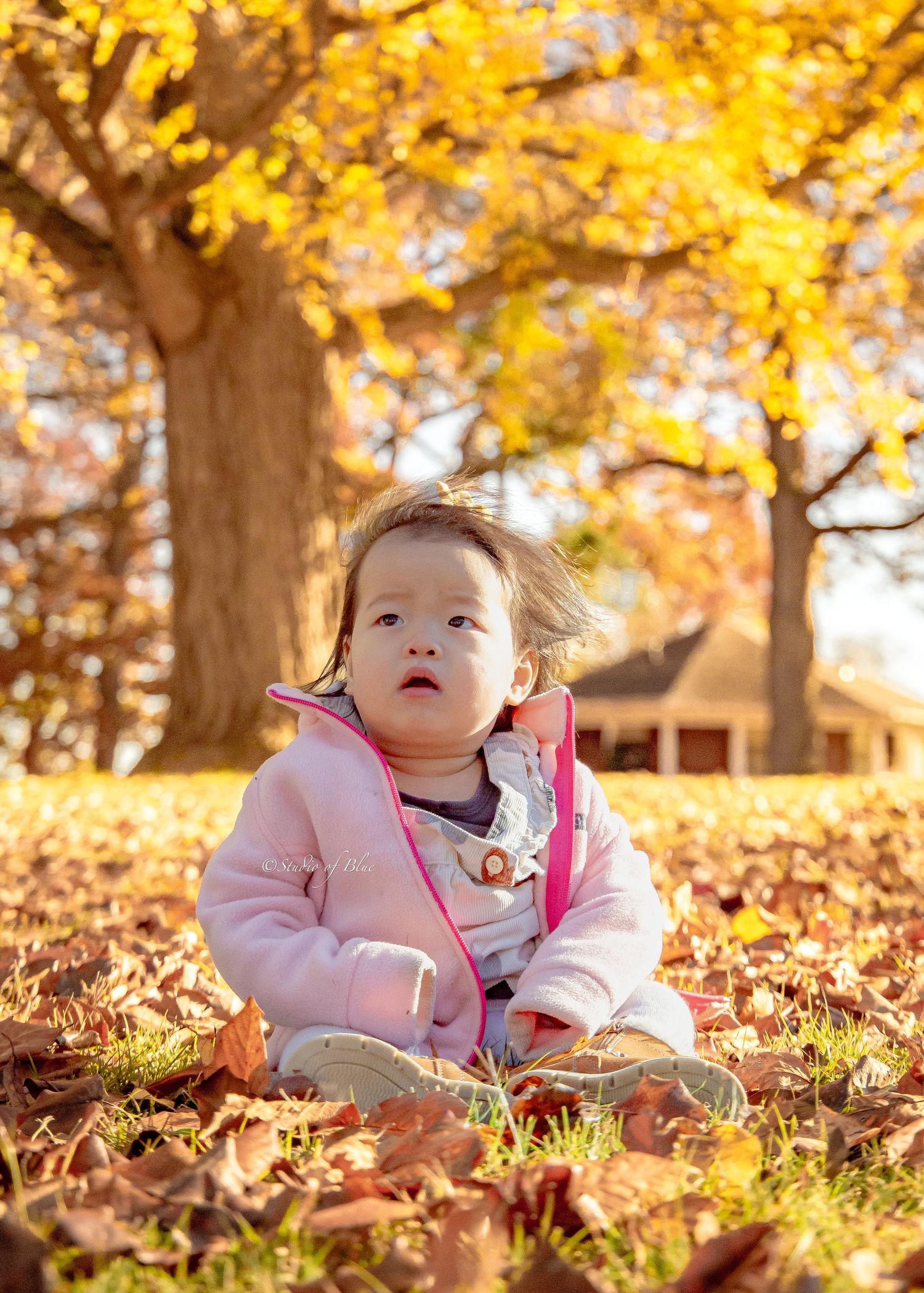 A young child in a pink jacket sits among fallen autumn leaves under golden trees.