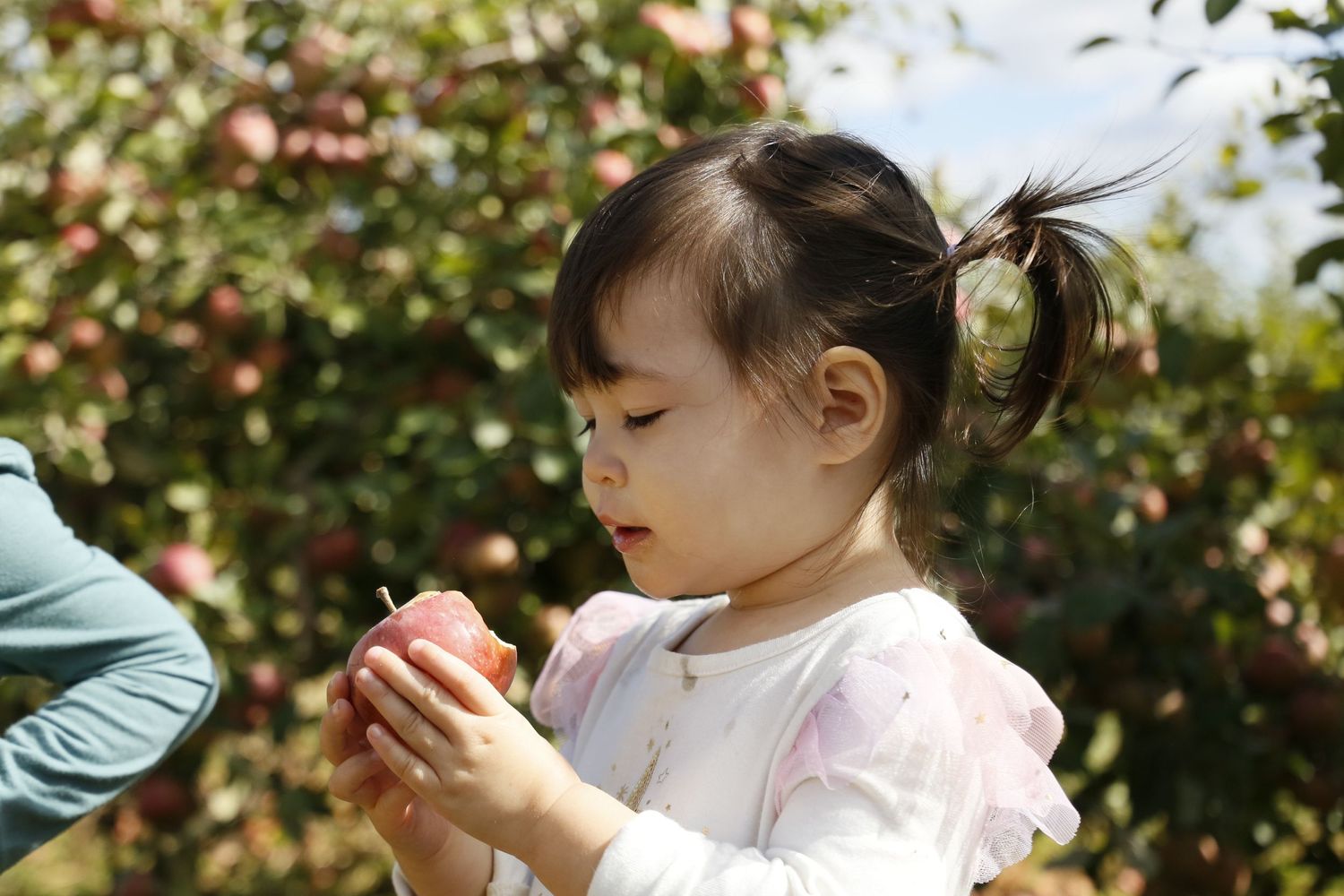 A small child with pigtails examines something in their hands outdoors.