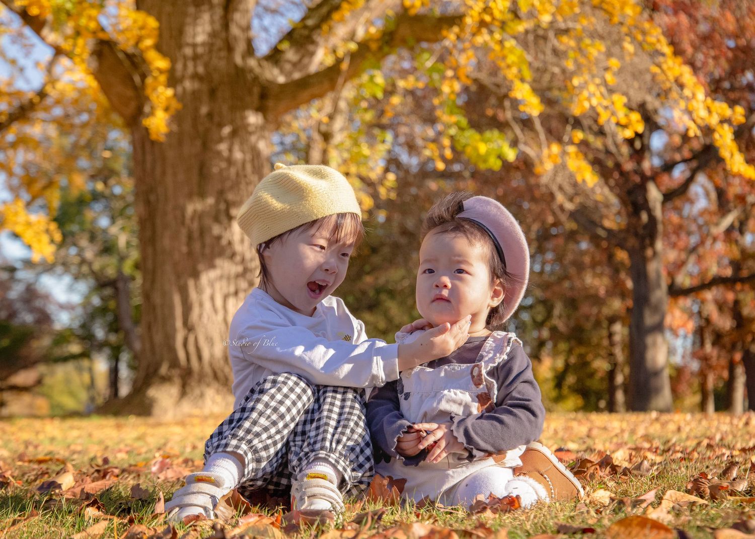 Two small children in winter hats sit together on fallen leaves under autumn trees.