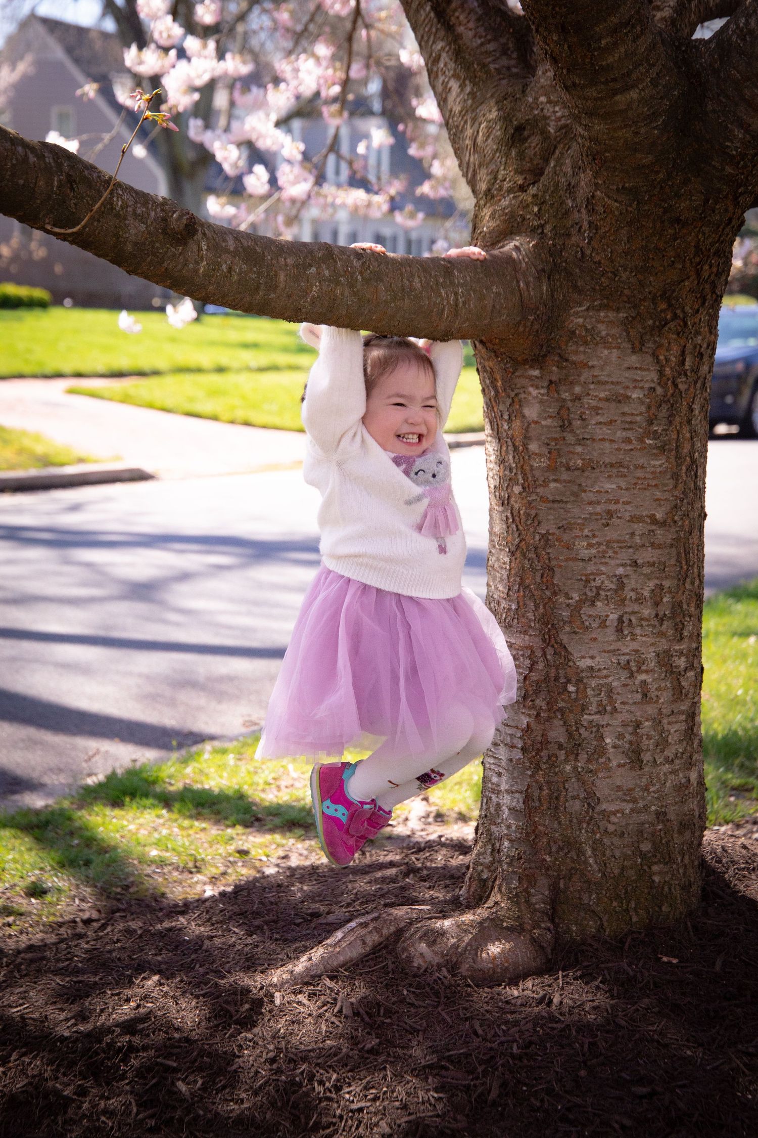 A small child in a pink tutu dress plays joyfully under a cherry blossom tree on a sunny spring day.