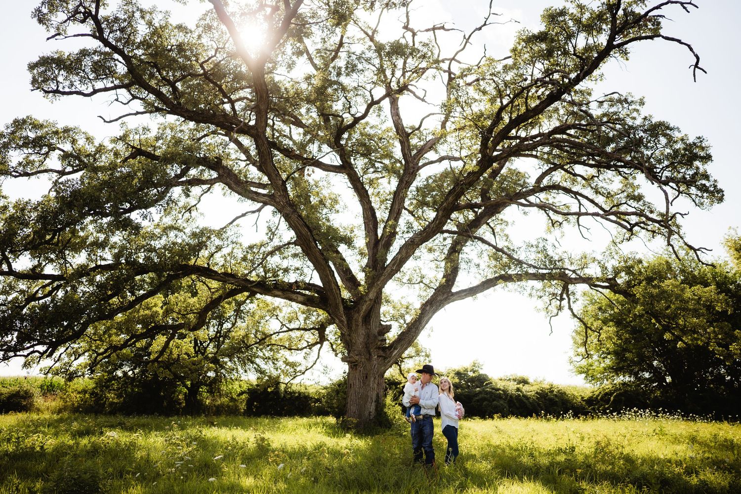 Silhouette of grand oak tree frames couple standing in sunlit meadow during golden hour.