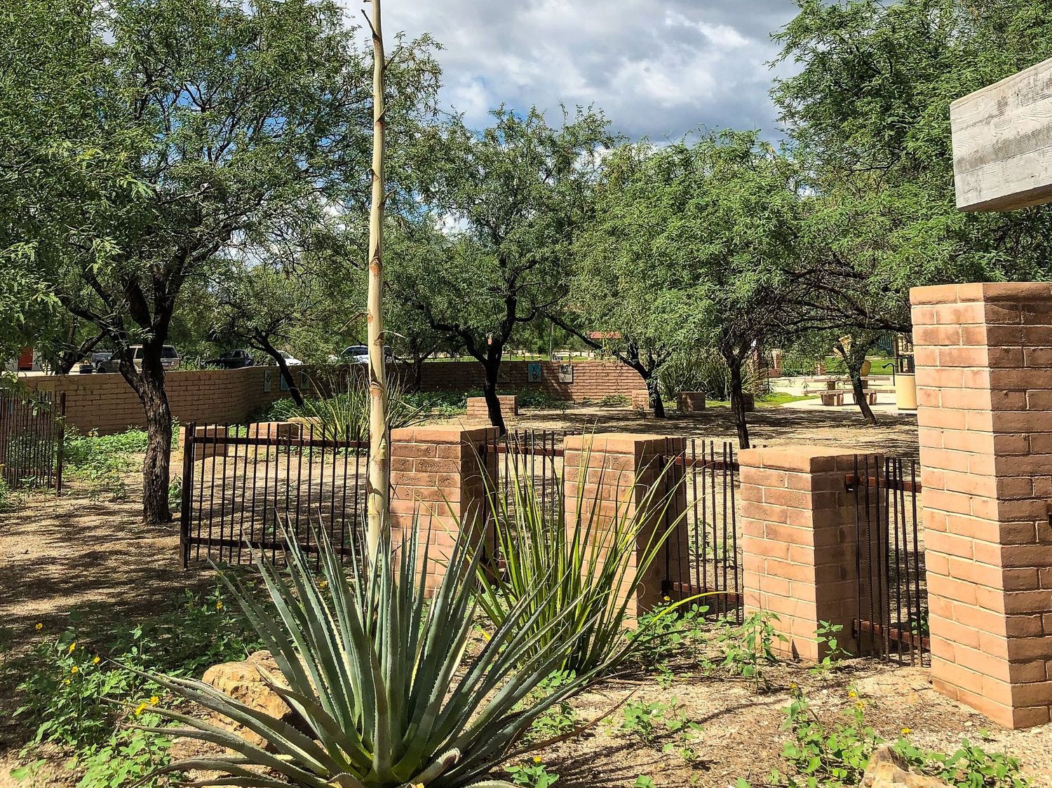 Looking for a photoshoot in central Tucson, try the Rio Vista Natural Resource Park.