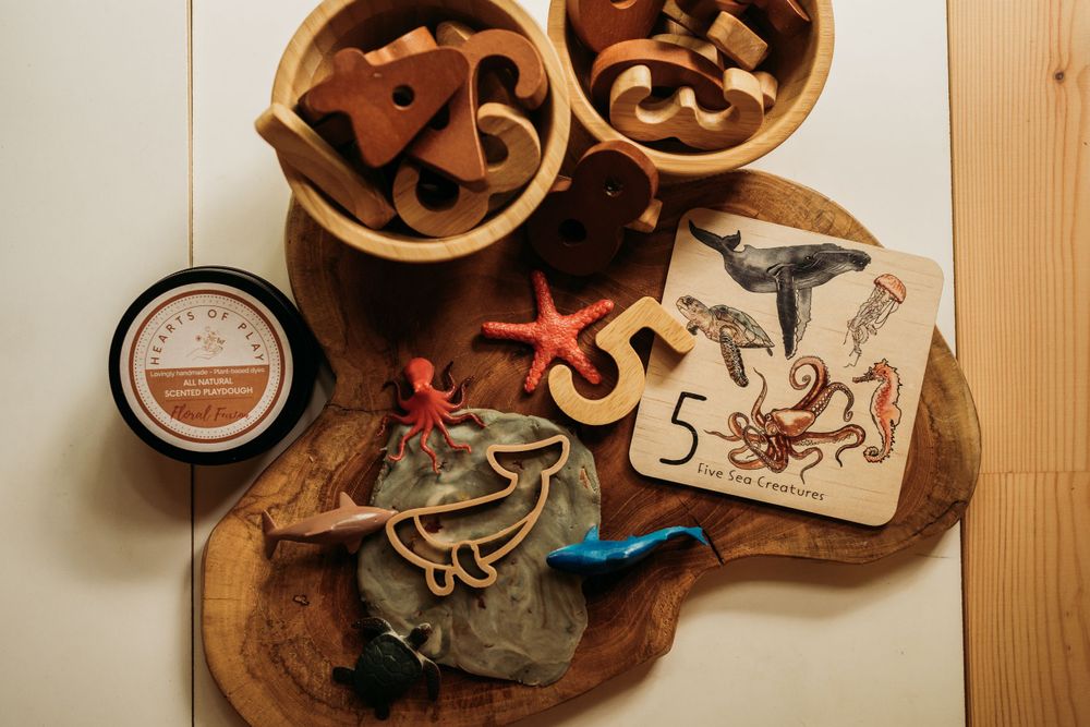 Small Business Kids toys content photographer