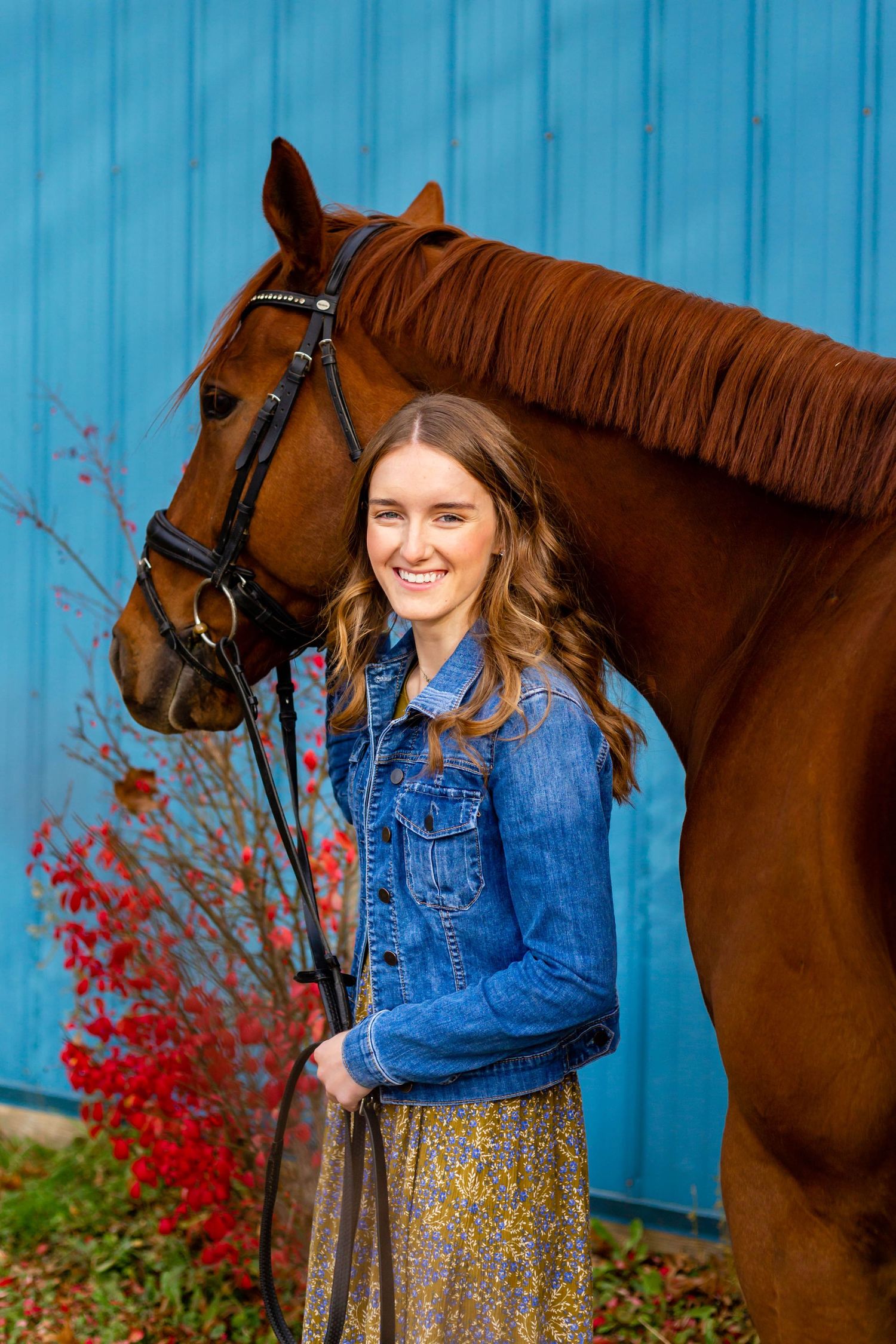 senior pictures in cleveland ohio. girl with horse