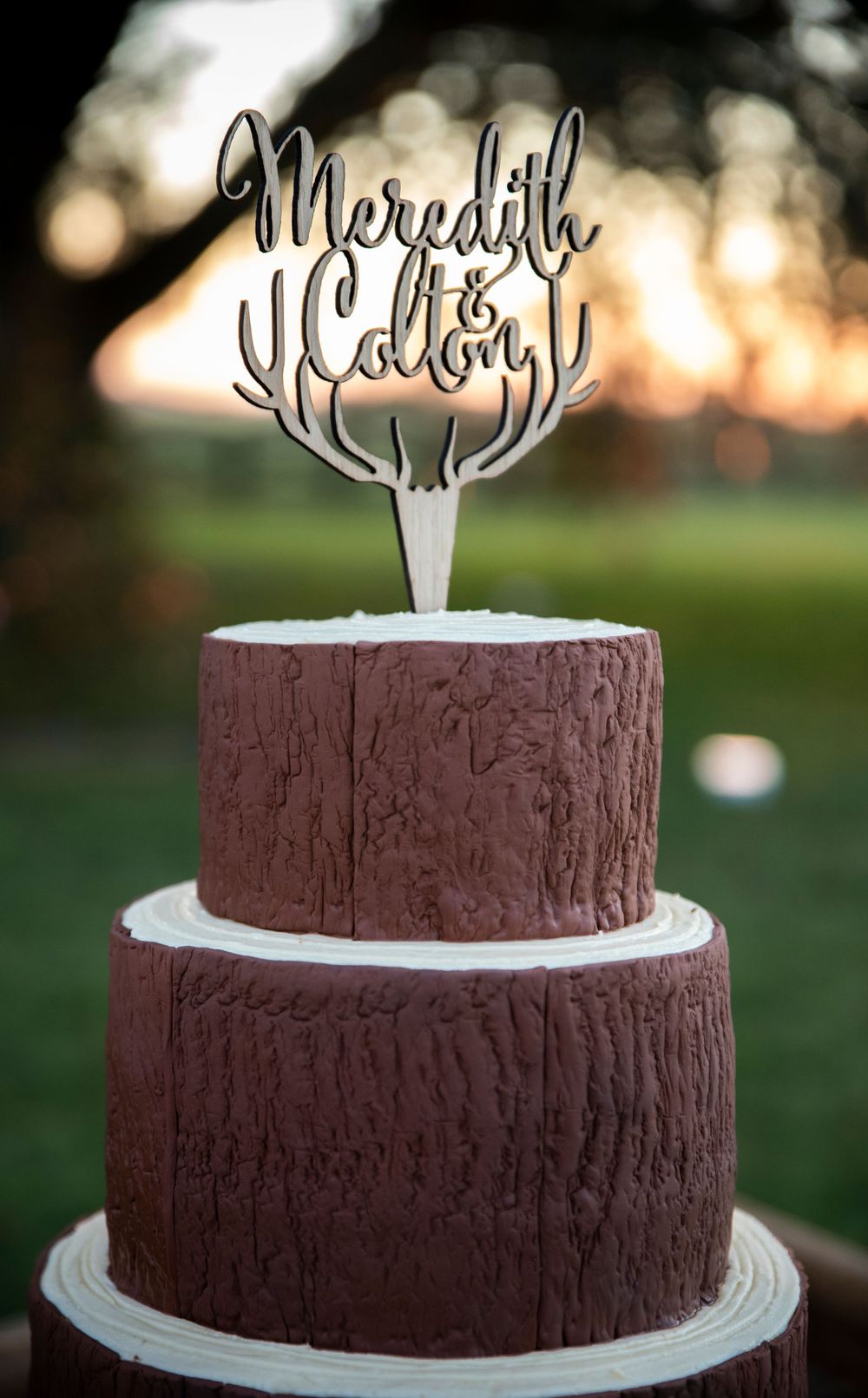 Two-tier chocolate wedding cake with wood grain texture and rustic antler topper reading Meredith and Colton outdoors.