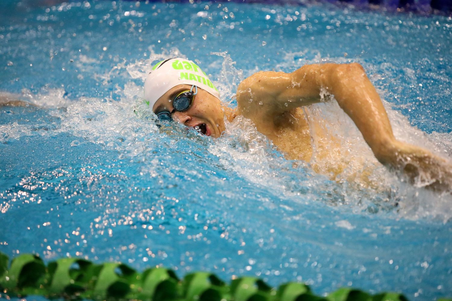 Competitive swimmer doing freestyle stroke in clear blue pool water.