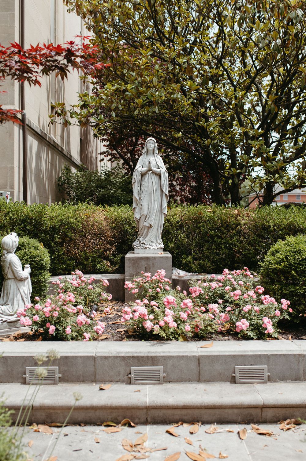 A white marble statue of Mary surrounded by pink roses and greenery in a garden setting.
