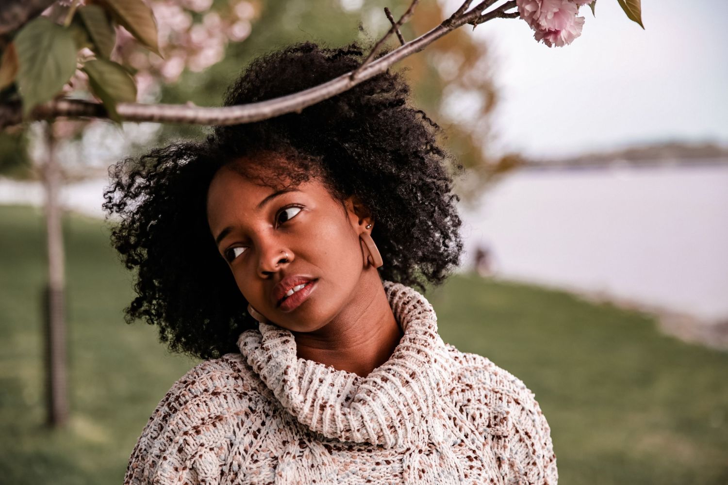 Young Black woman with natural curly hair wearing cozy turtleneck sweater poses outdoors near blooming tree.