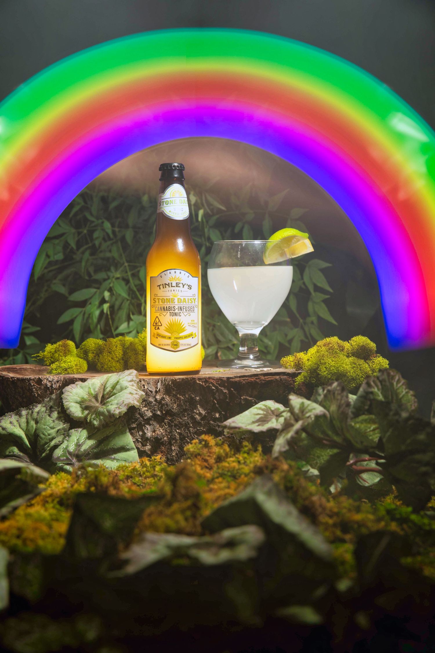 Fentimans ginger beer bottle with cocktail under a colorful rainbow neon light surrounded by greenery.