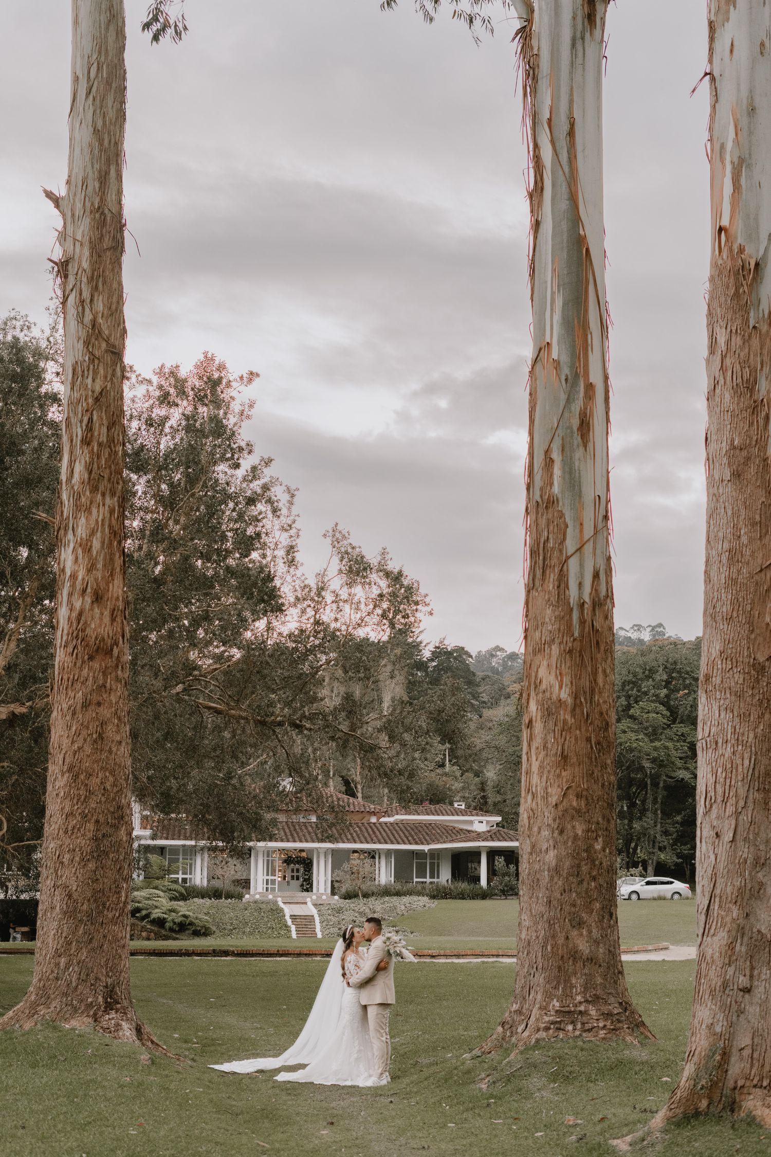 Romantic couple embraces under majestic tall eucalyptus trees on a cloudy day near a white house.