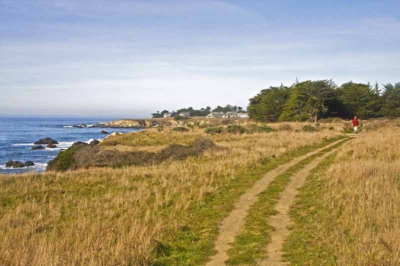 Bluff Top Trail at Sea Ranch, California