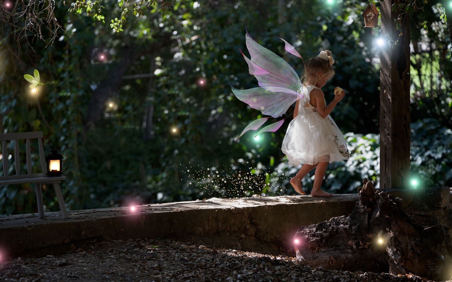 Fairy Story Telling photography
