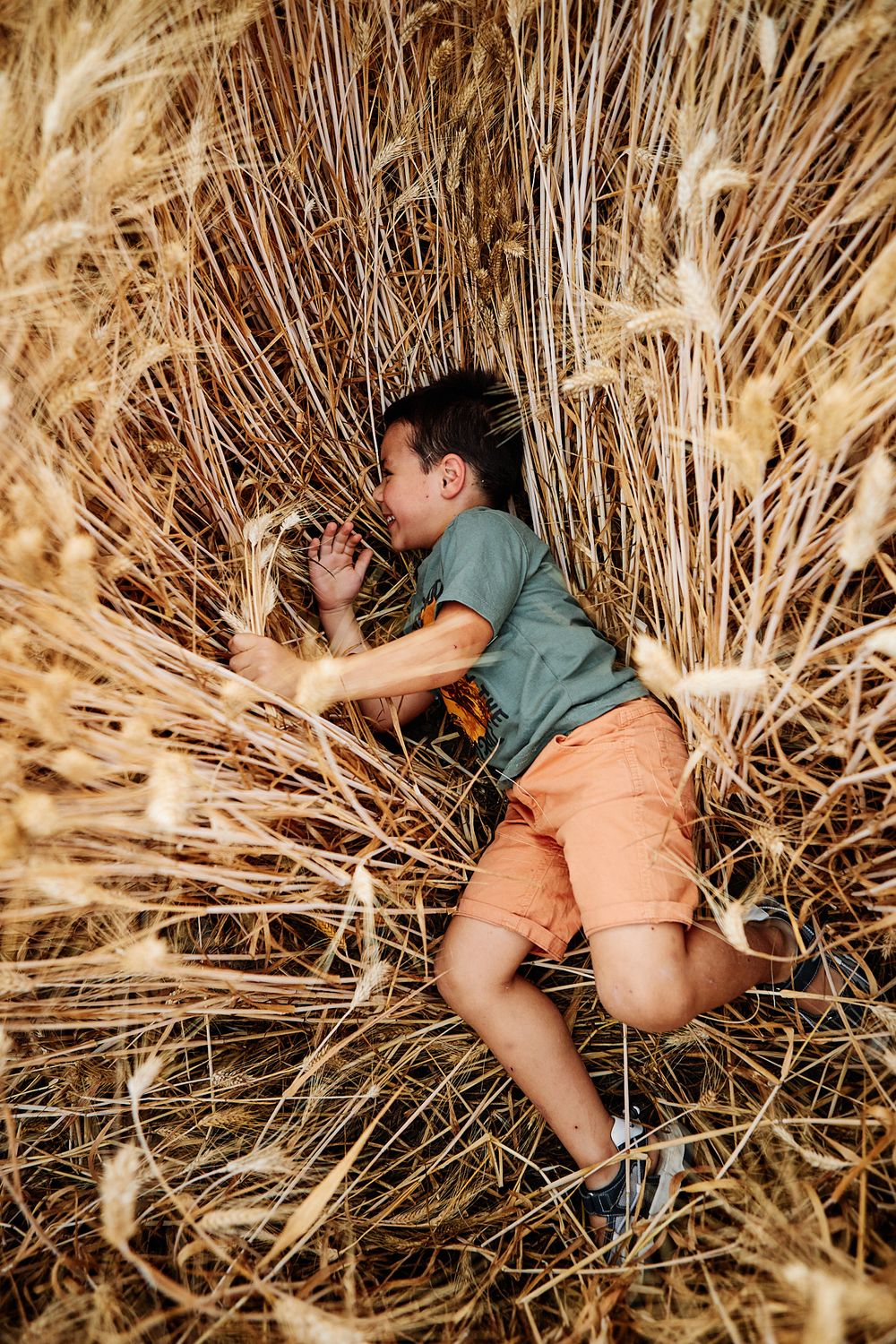 Bambino gioca e si diverte in un campo di grano durante un servizio fotografico di famiglia