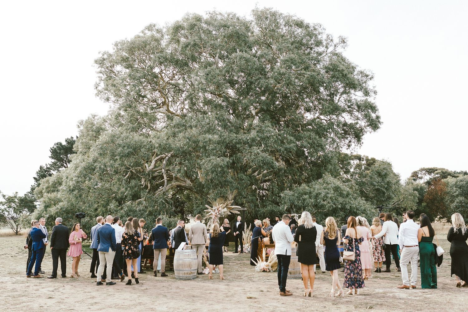 Wedding guests gather under a large tree at an outdoor ceremony venue.
