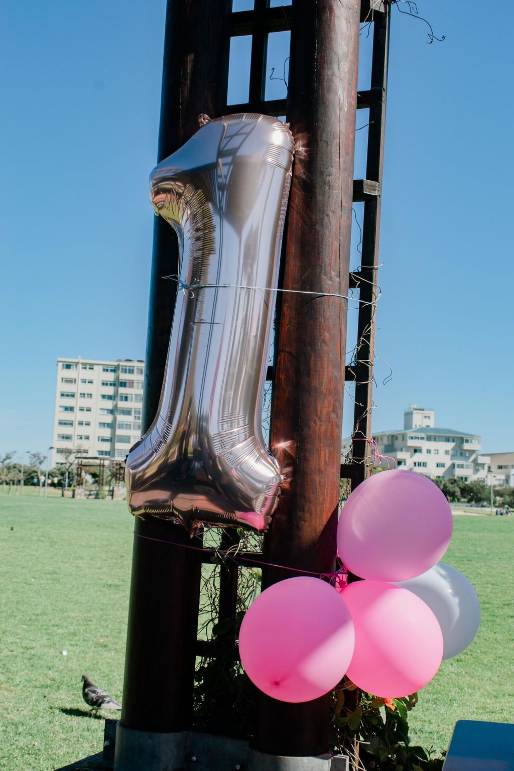 Girl celebrating first birthday party