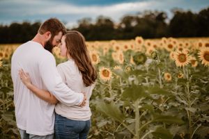 Sunflowers in South Georgia