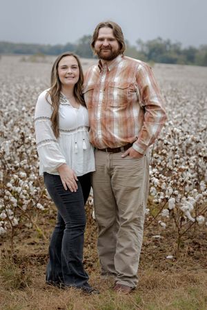 Rainy Cotton Field Photography