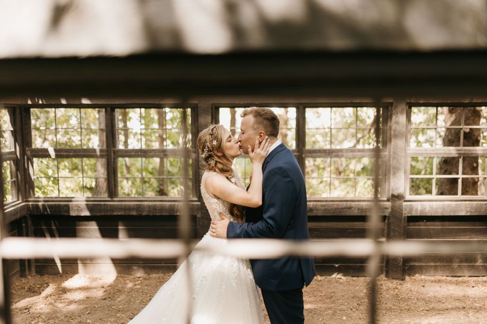 Bride and groom share a passionate kiss inside a sunlit rustic wooden greenhouse structure.
