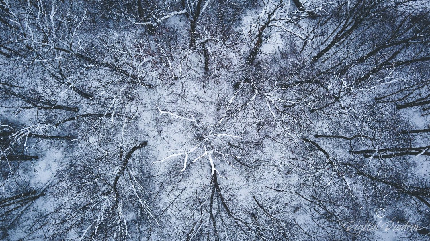 snowy aerial photo
