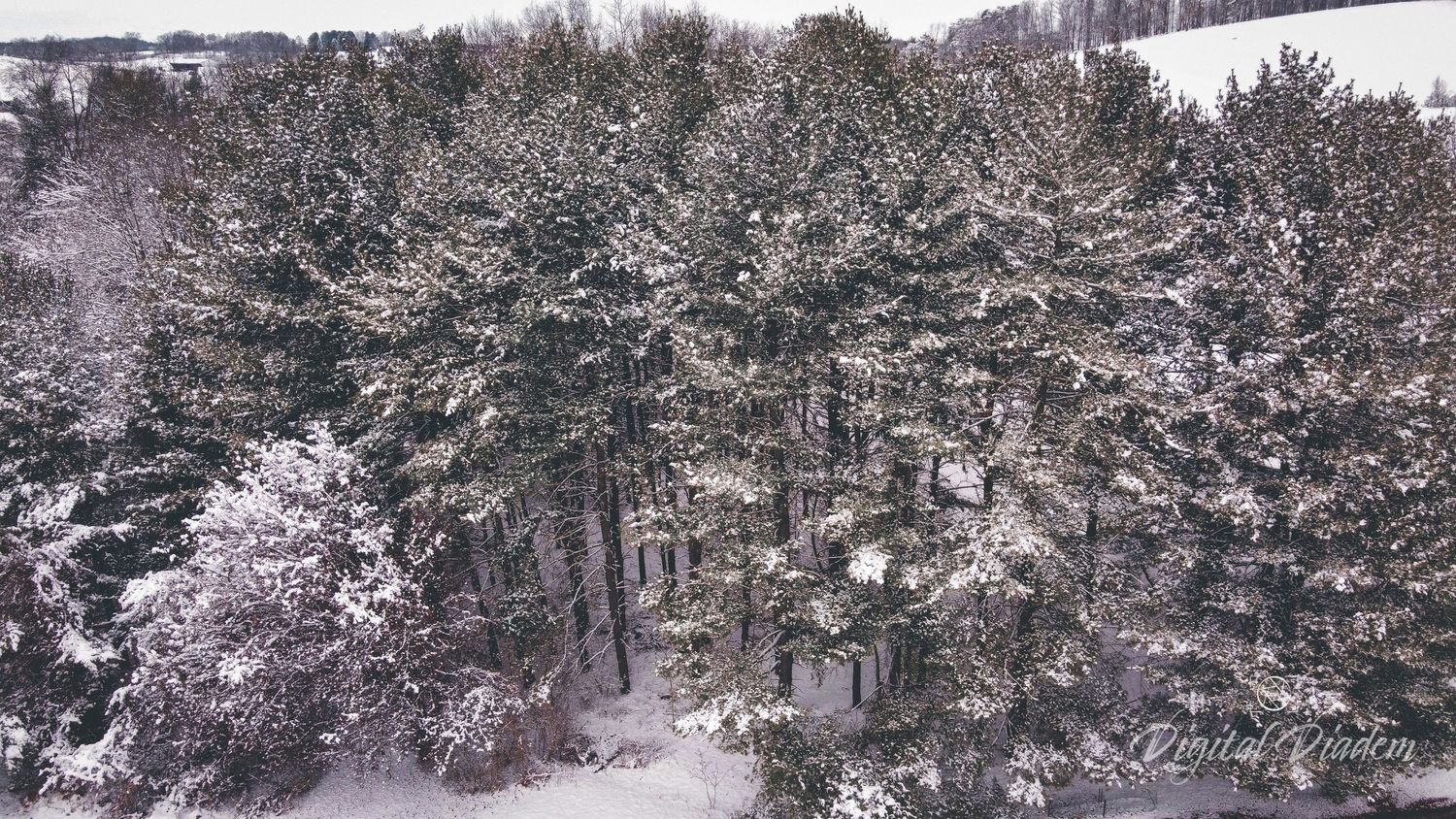snowy aerial photos