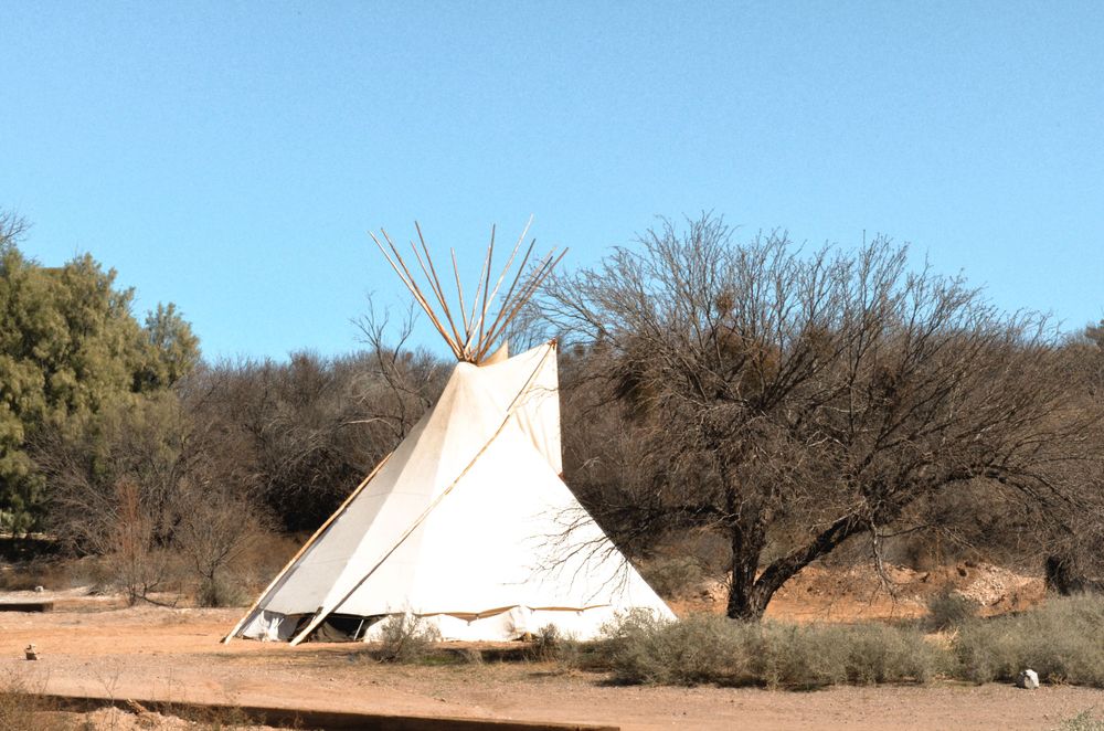 A white teepee stands in a desert landscape with bare trees in the background.