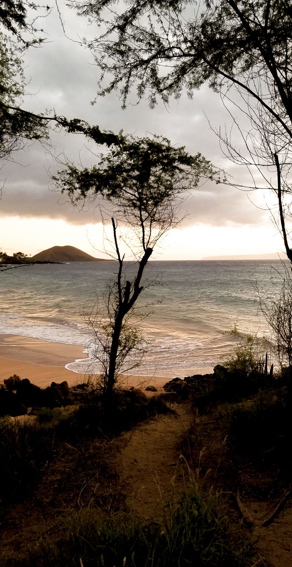 Silhouetted trees frame a coastal sunset view of a beach and distant mountain.