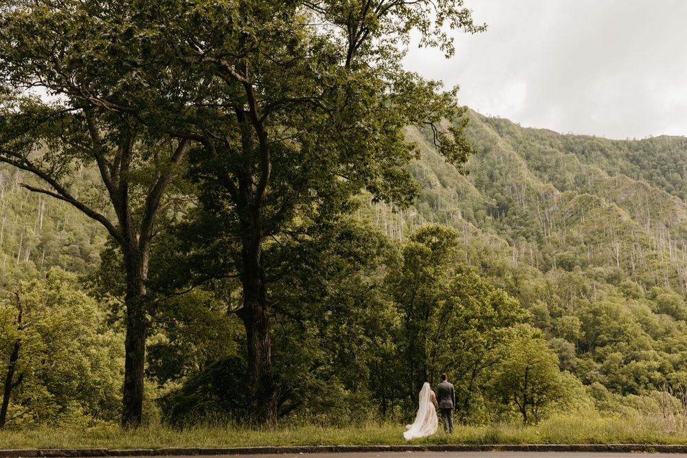 Bride in flowing white wedding gown stands alone near trees with green mountain scenery in background.