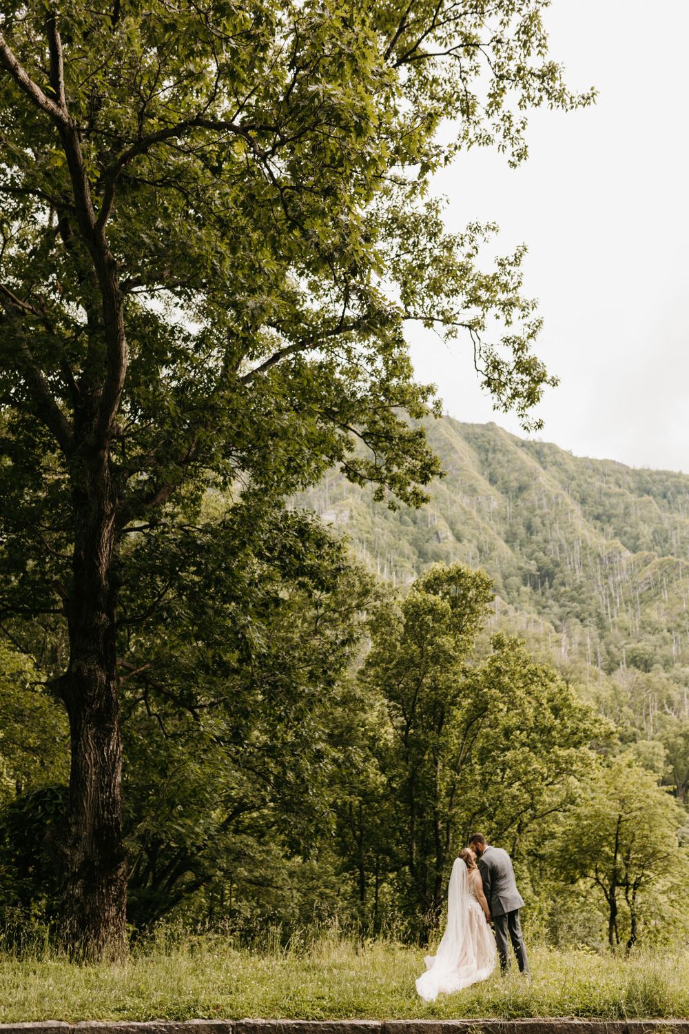 Bride and groom share a kiss beneath a large tree with lush green mountains behind them.
