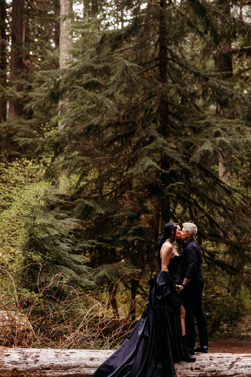 A couple in black formal wear shares an intimate moment among towering evergreen trees.
