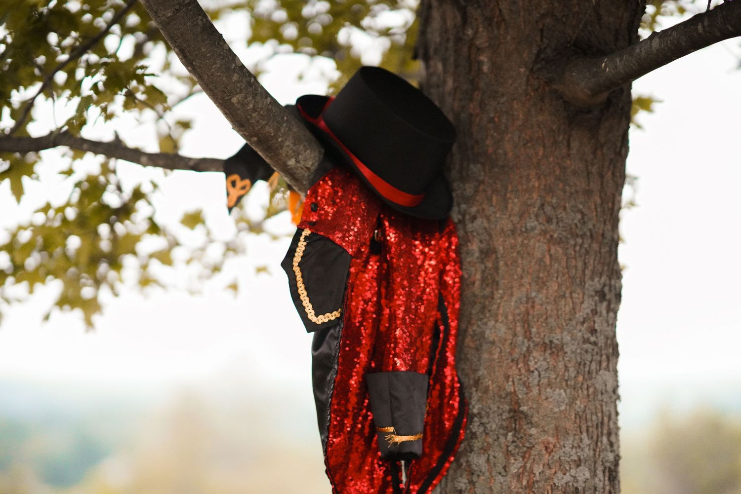 Red sequin dress and black hat hanging on tree branch at sunset.