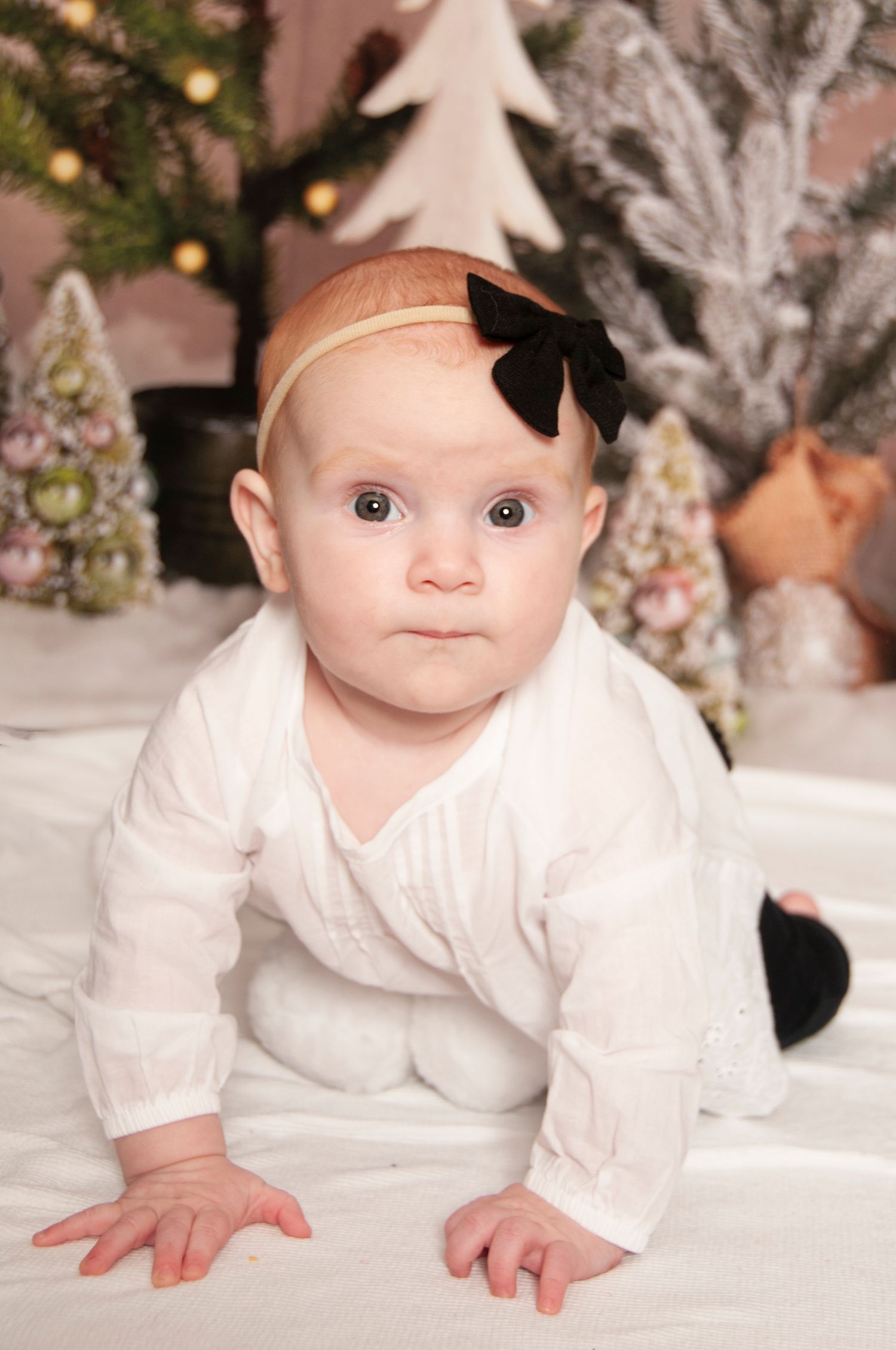 Baby girl crawling photo Christmas backdrop