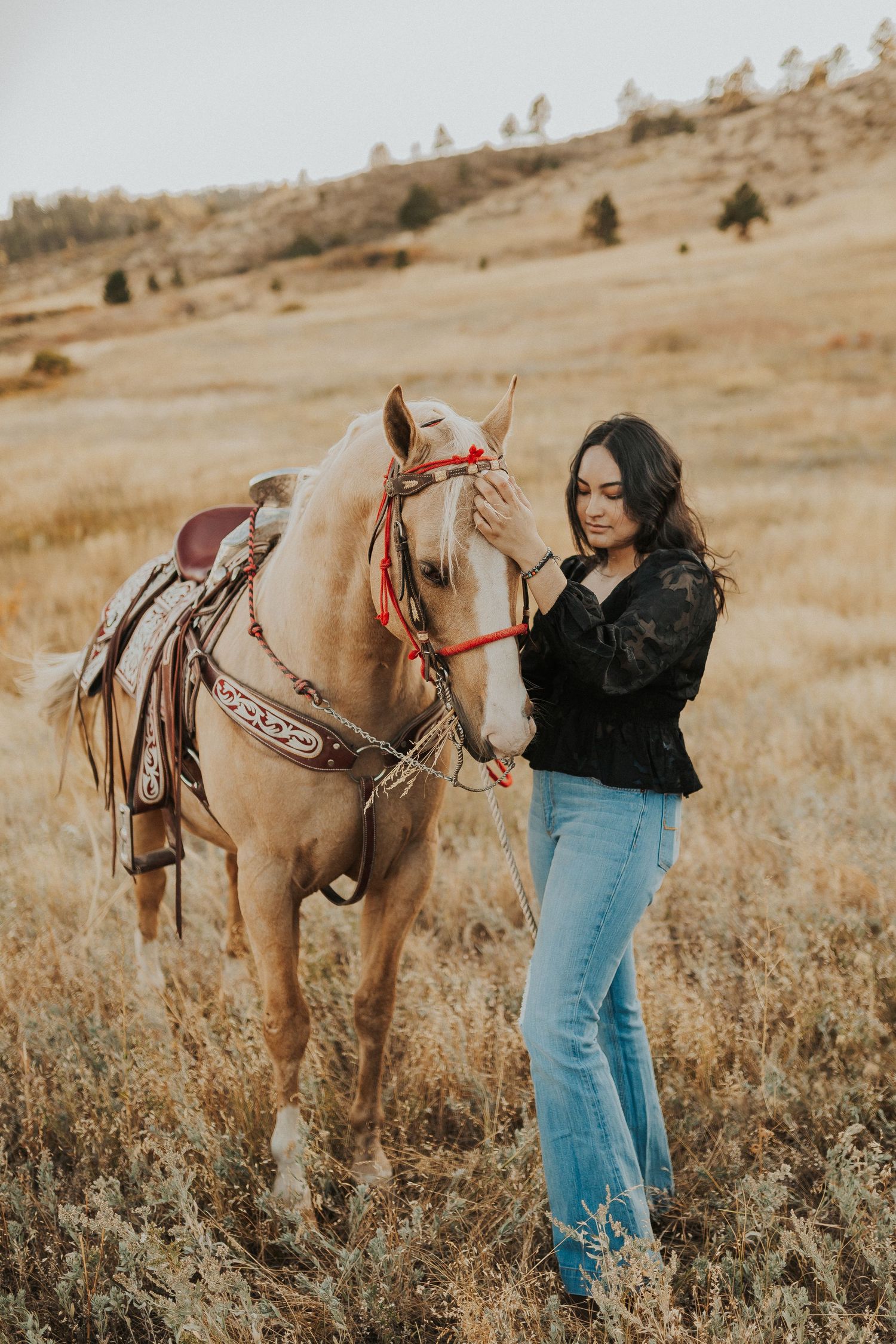 Northern Colorado equine photographer.