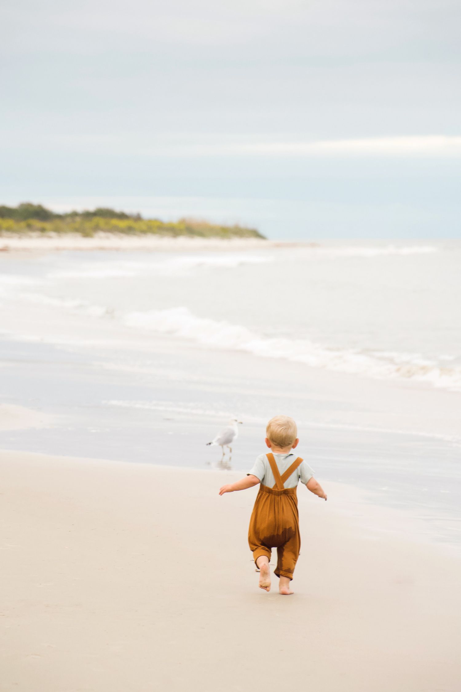 a toddler in orange overalls runs after a seagull on a beach