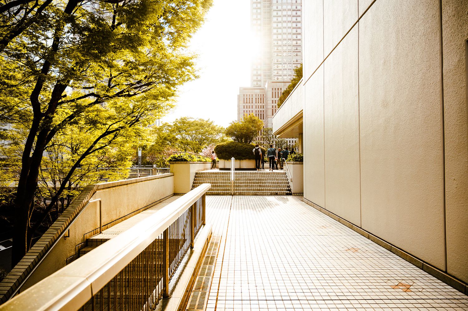 Modern architectural walkway with autumn trees and sunlight creating a warm urban atmosphere.
