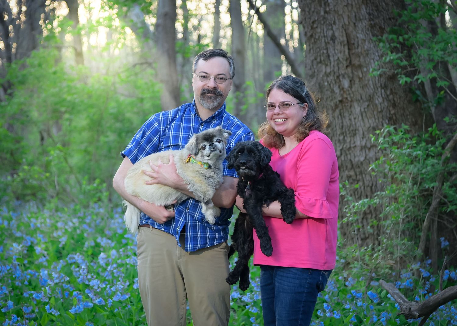 Pet/Dog Family Session at park near Lee's Summit with bluebells by VanDeusen Photography