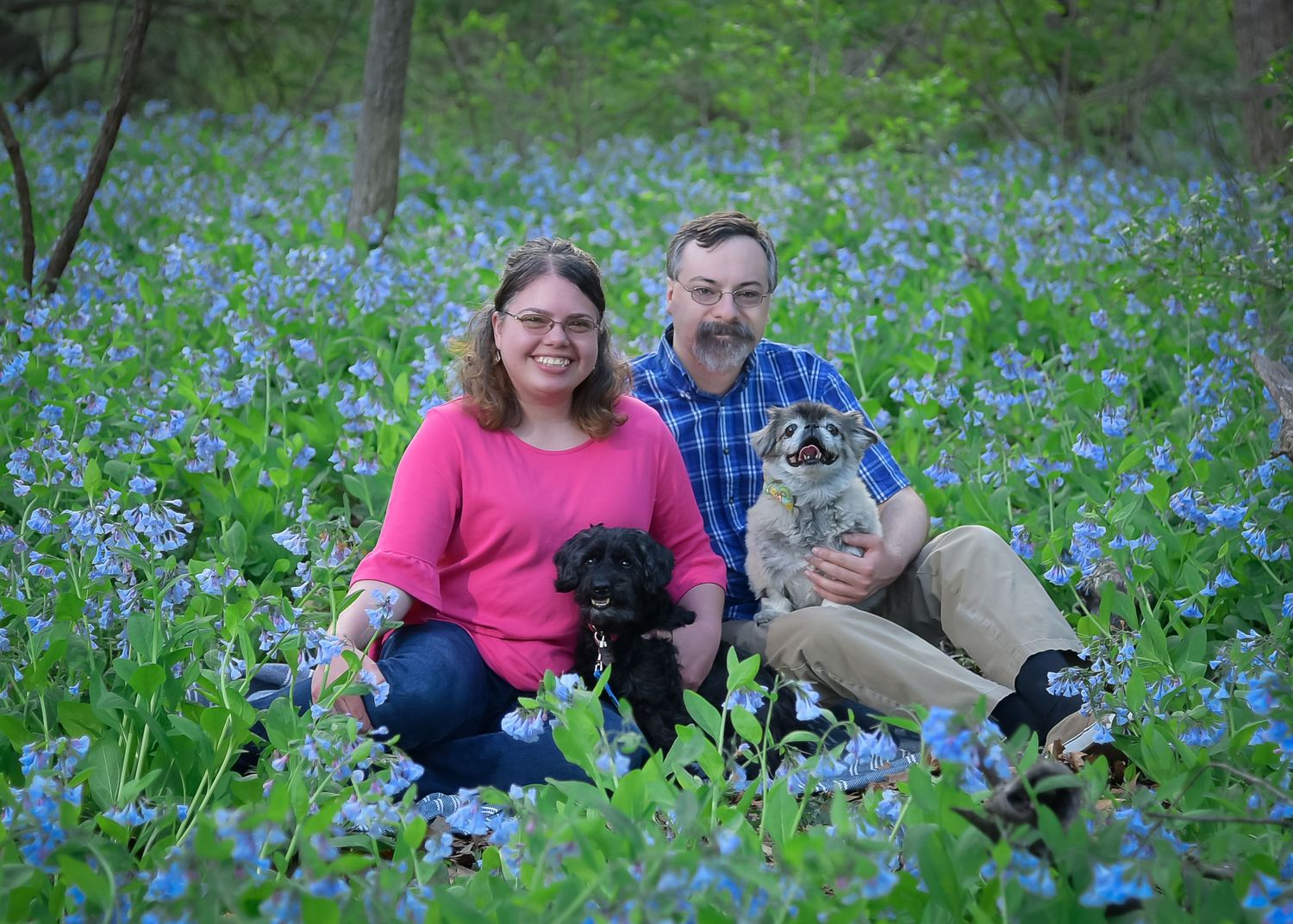 Pet/Dog Family Session at park near Lee's Summit with bluebells by VanDeusen Photography