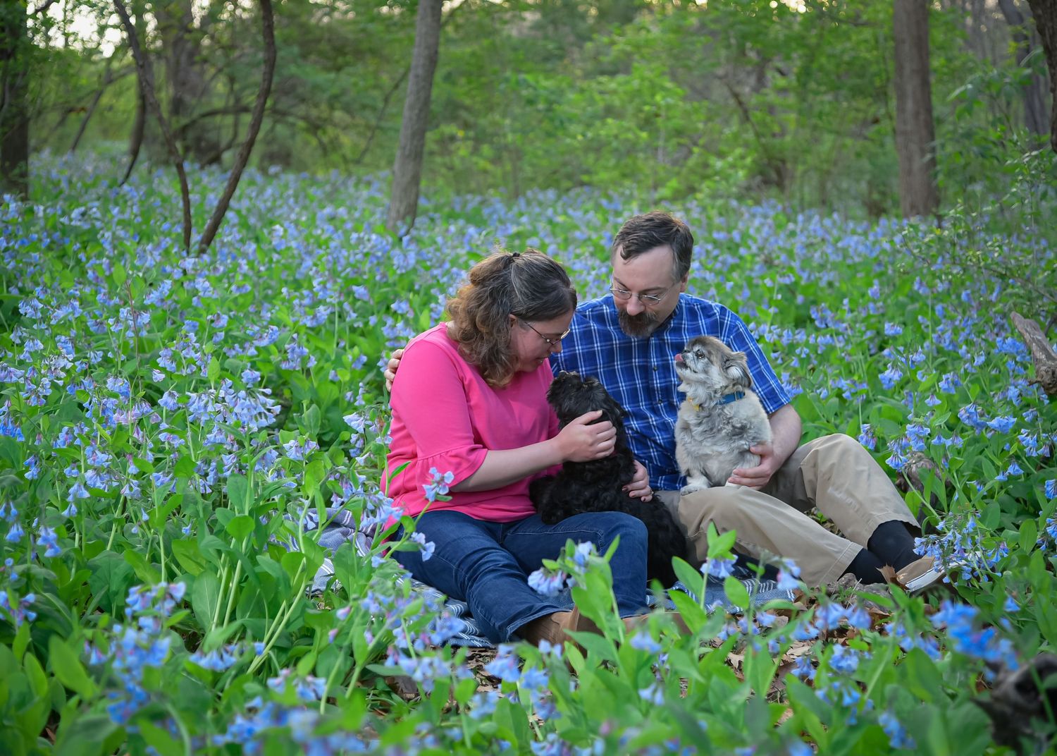 Pet/Dog Family Session at park near Lee's Summit with bluebells by VanDeusen Photography