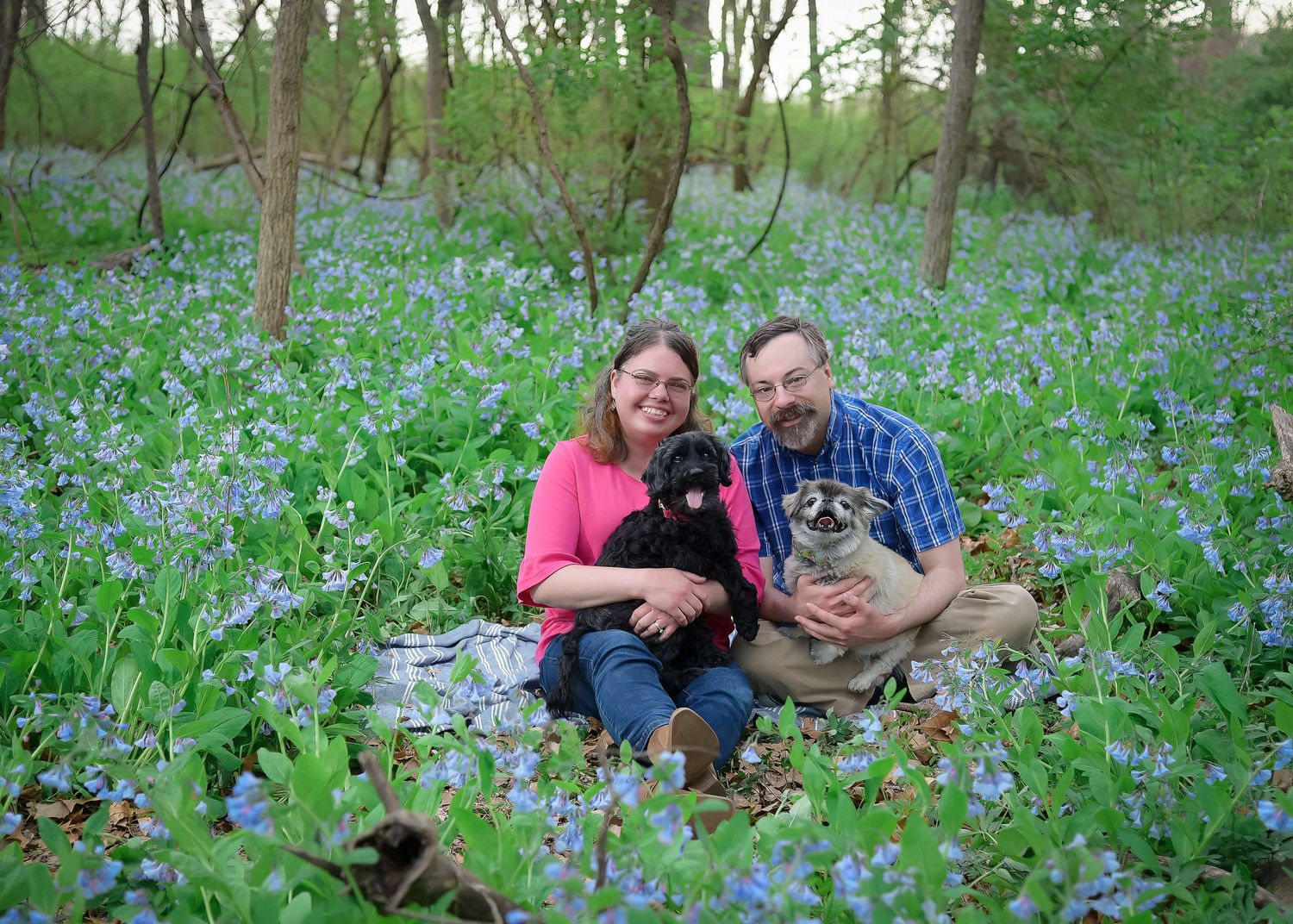 Pet/Dog Family Session at park near Lee's Summit with bluebells by VanDeusen Photography