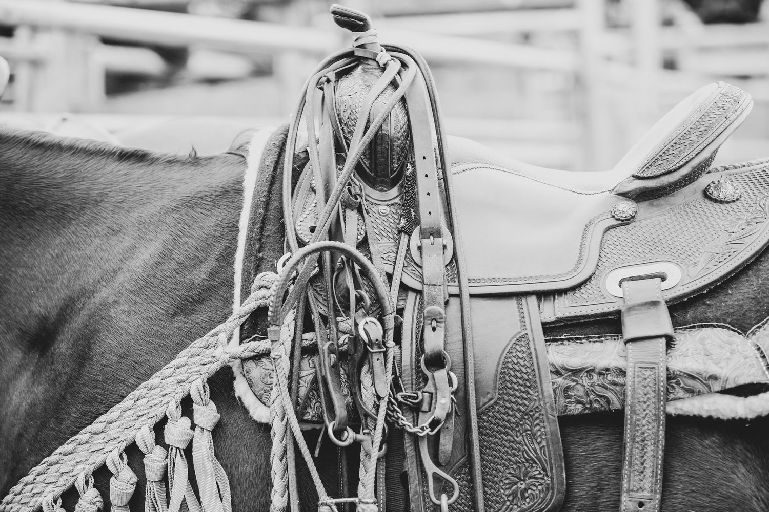NC Western and Blue Collar worker branding and marketing