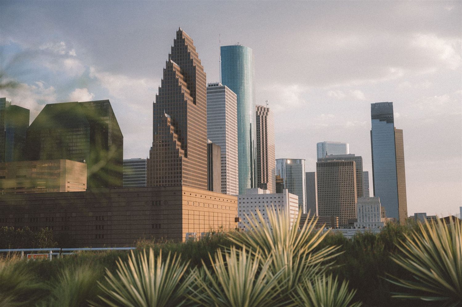 Houston skyline with distinctive architecture and palm plants in the foreground.