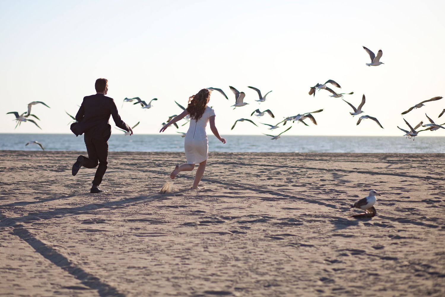 Silhouettes of two people running on a beach while seagulls fly overhead at sunset.