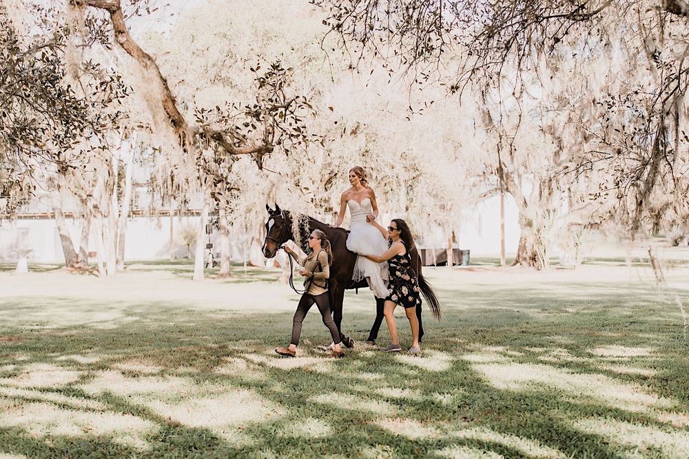 Rustic barn wedding in Myakka, Sarasota, Florida by Tampa and New England Wedding Photographer